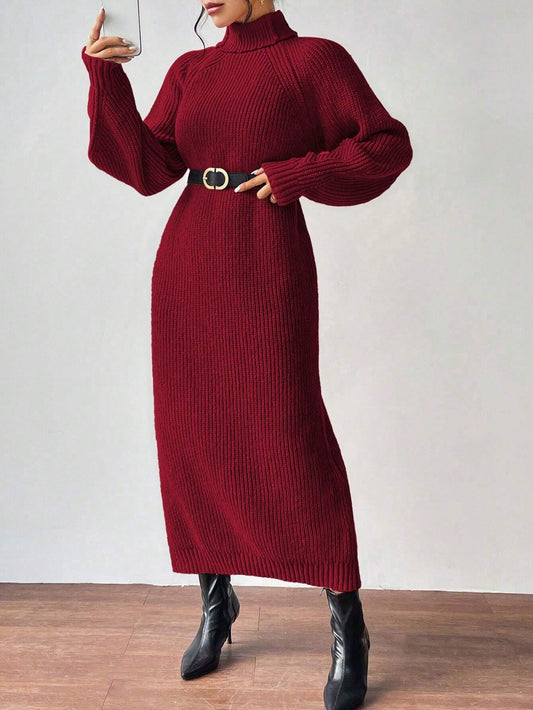 Turtleneck Raglan Sleeve Sweater Dress