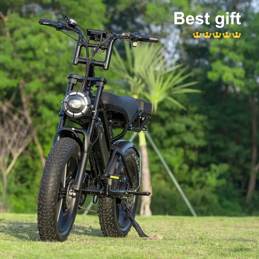 V20 Pro Electric Bicycle with 500W Motor