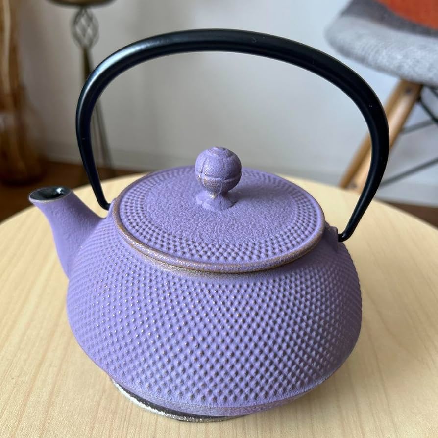 Arare Cast Iron Teapot Kettle