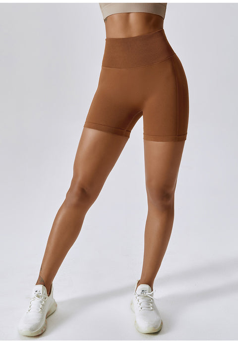 Smoothie High Waist Spandex Shortie Briefs