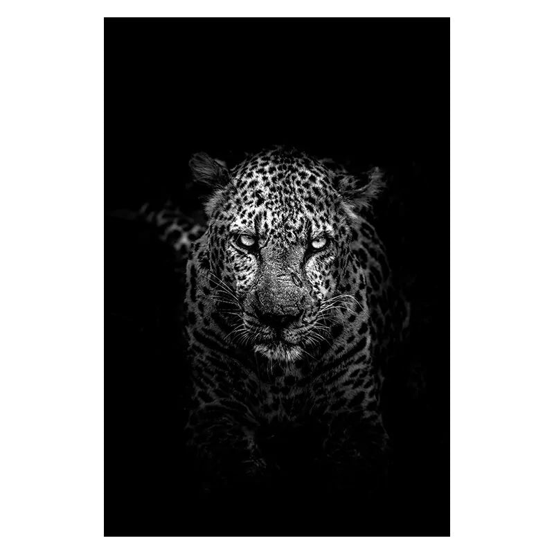 Stunning Black & White Canvas Animal Wall Art