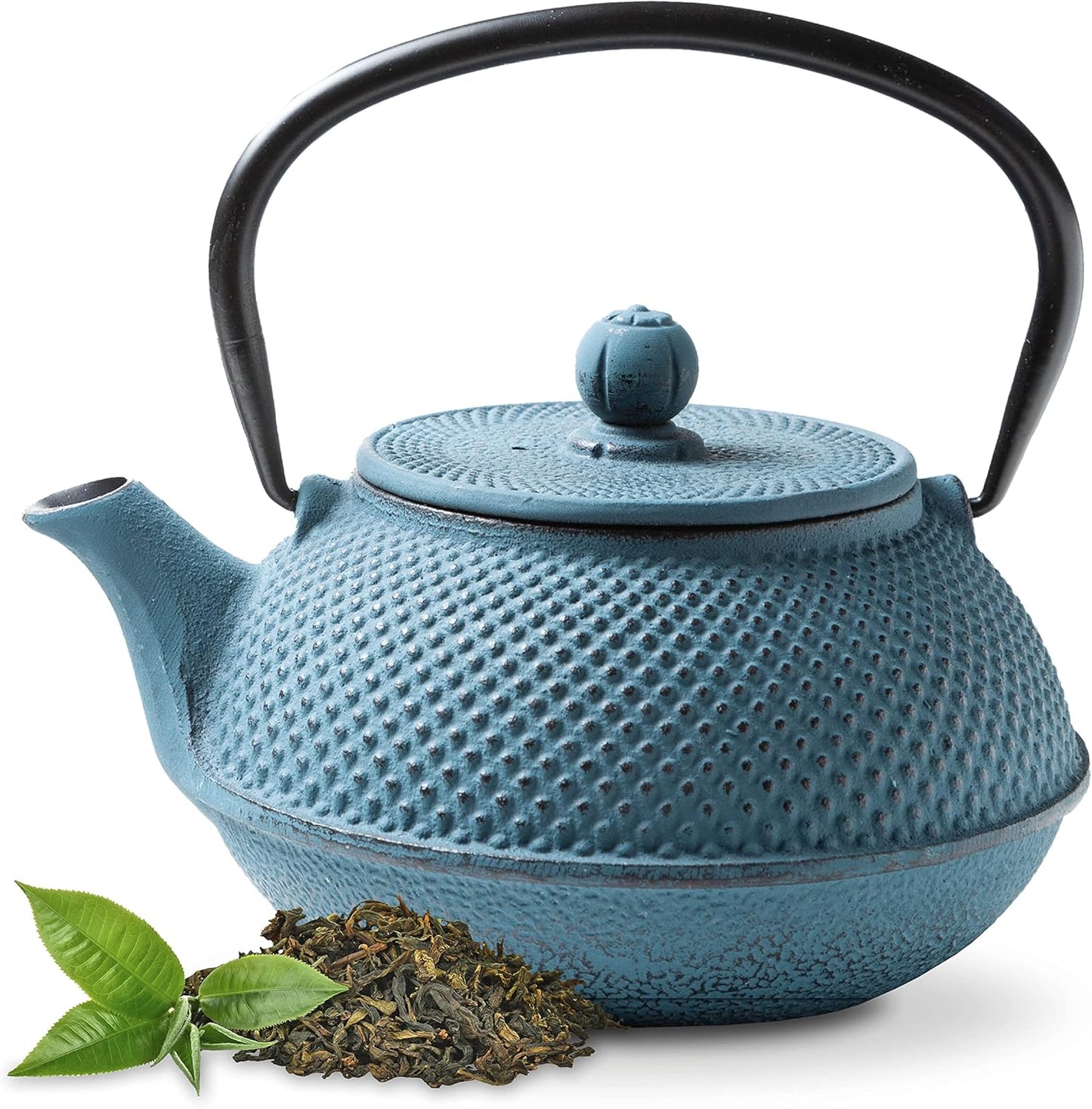 Arare Cast Iron Teapot Kettle