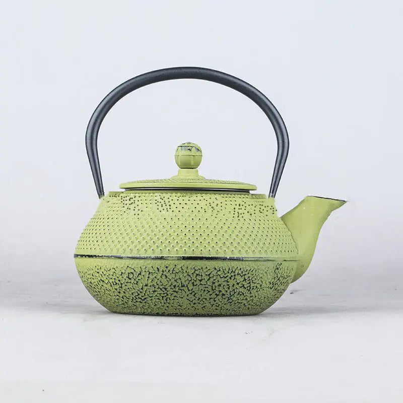 Arare Cast Iron Teapot Kettle