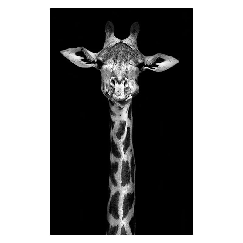 Stunning Black & White Canvas Animal Wall Art