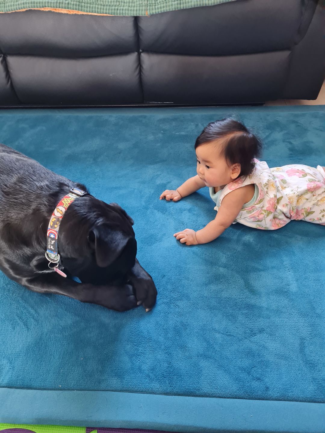 Tamati Thick Soft Touch Mats