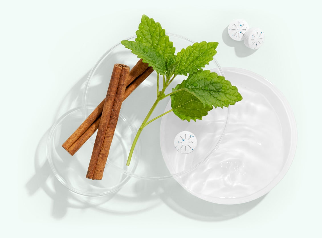 NeuroGum Energy & Focus