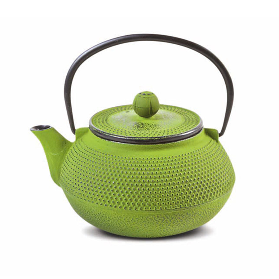 Arare Cast Iron Teapot Kettle