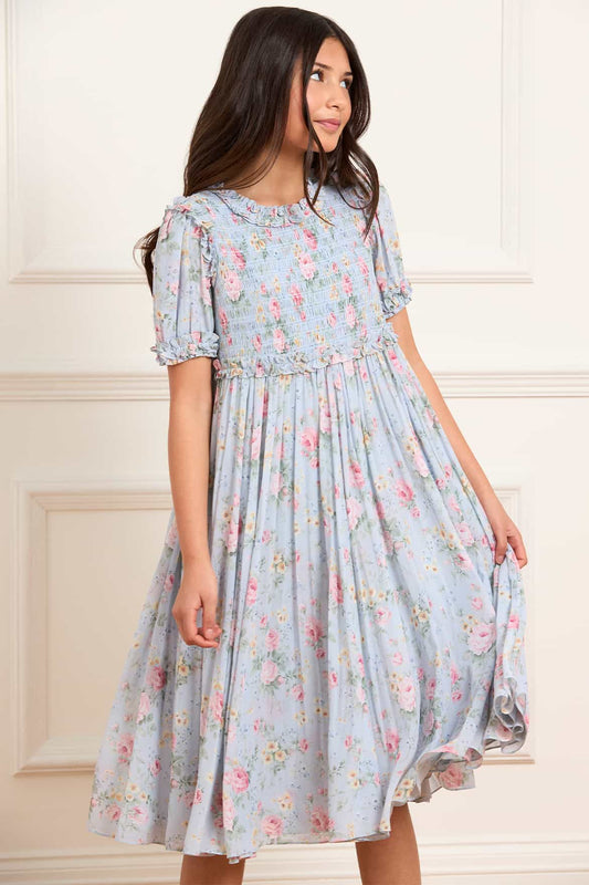 Pompadour Garden Giselle Chiffon Dress