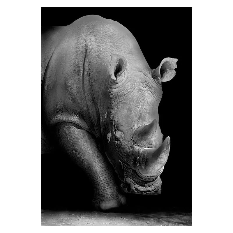 Stunning Black & White Canvas Animal Wall Art