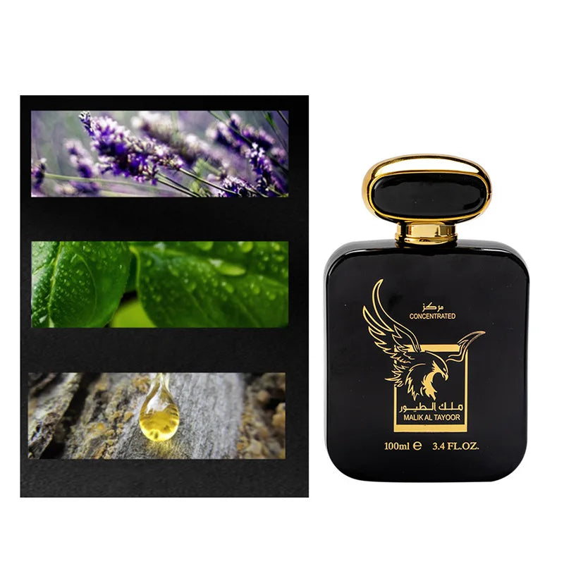 Flying High Dubai Cedar Cologne