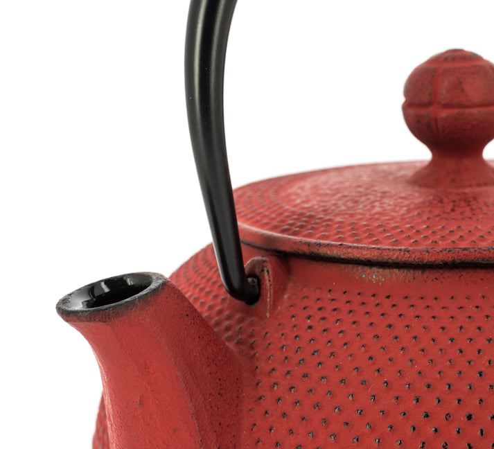 Arare Cast Iron Teapot Kettle