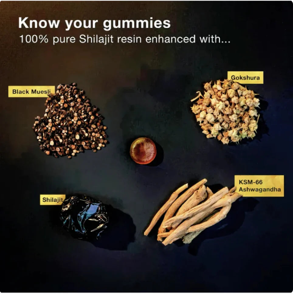 Abronikey Pure Himalayan Shilajit Gold Gummies