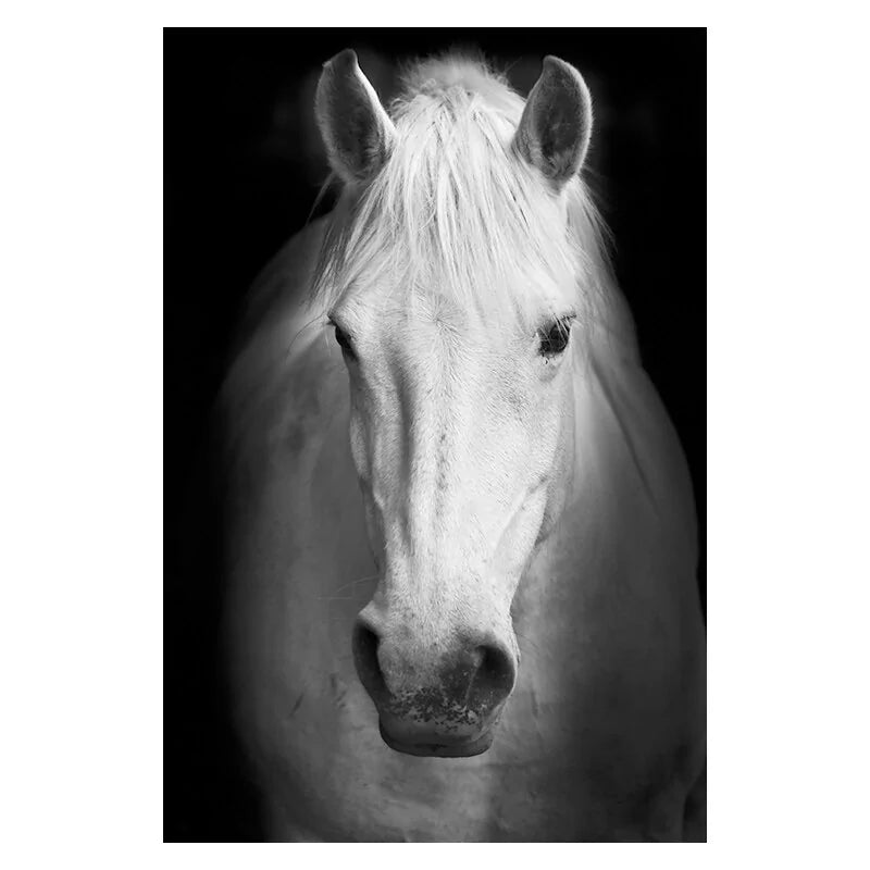 Stunning Black & White Canvas Animal Wall Art