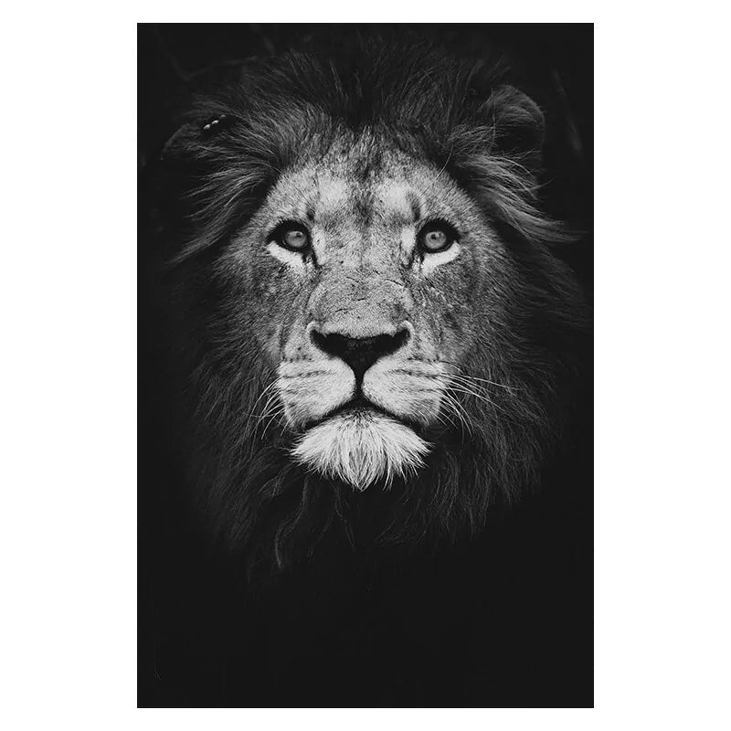 Stunning Black & White Canvas Animal Wall Art