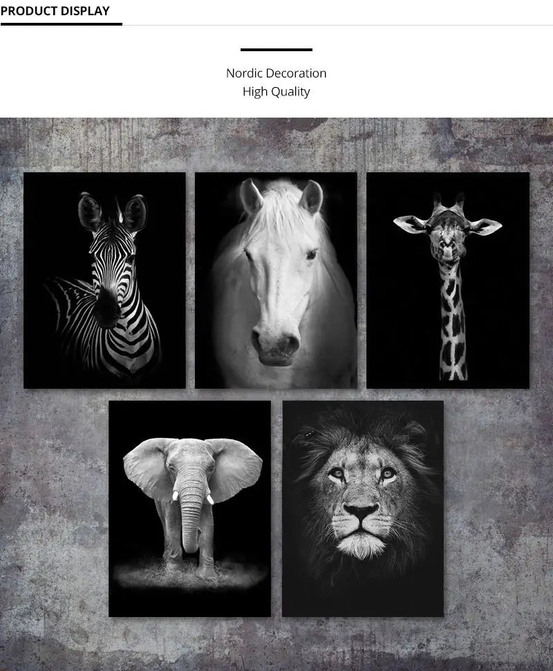 Stunning Black & White Canvas Animal Wall Art