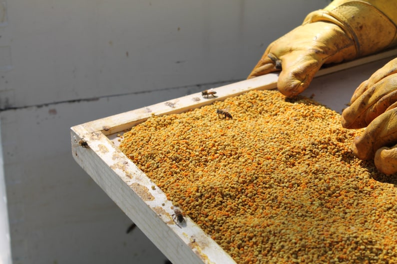 Organic Raw Bee Pollen Granules