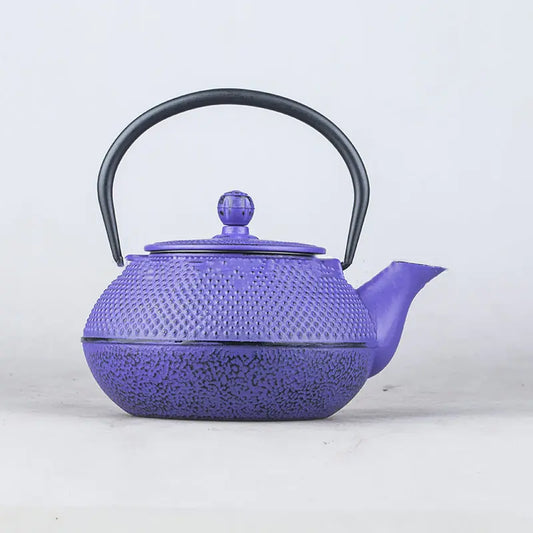 Arare Cast Iron Teapot Kettle