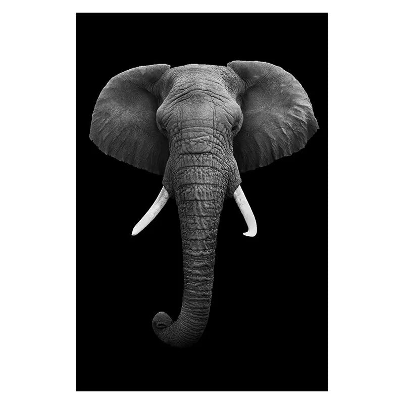 Stunning Black & White Canvas Animal Wall Art