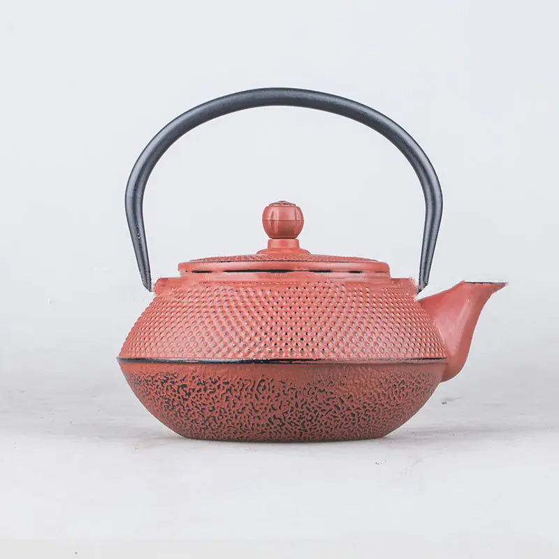 Arare Cast Iron Teapot Kettle