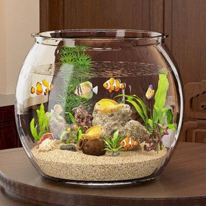 Shatterproof Acrylic Aquarium