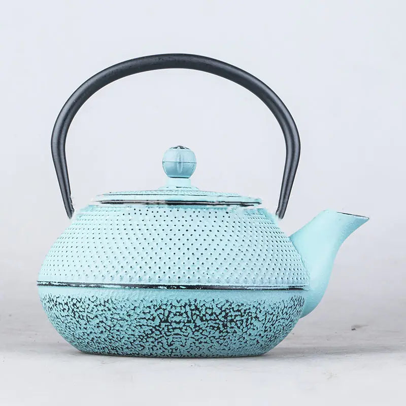 Arare Cast Iron Teapot Kettle