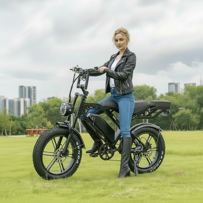 V20 Pro Electric Bicycle with 500W Motor