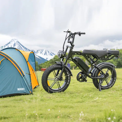 V20 Pro Electric Bicycle with 500W Motor