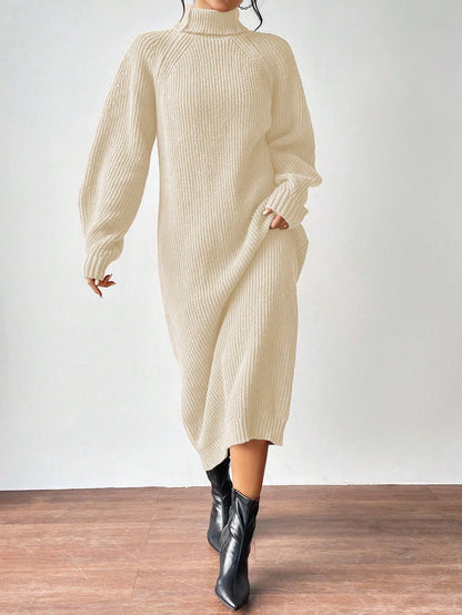 Turtleneck Raglan Sleeve Sweater Dress