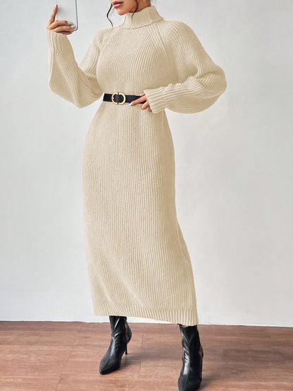 Turtleneck Raglan Sleeve Sweater Dress