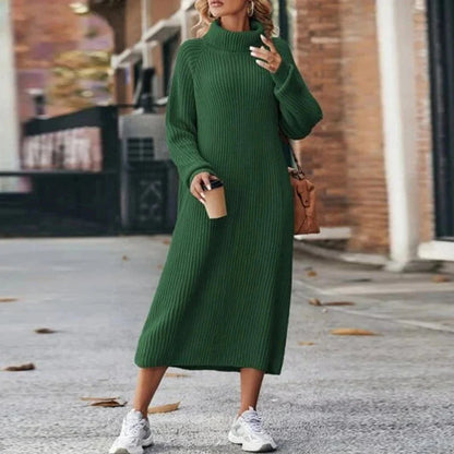 Turtleneck Raglan Sleeve Sweater Dress