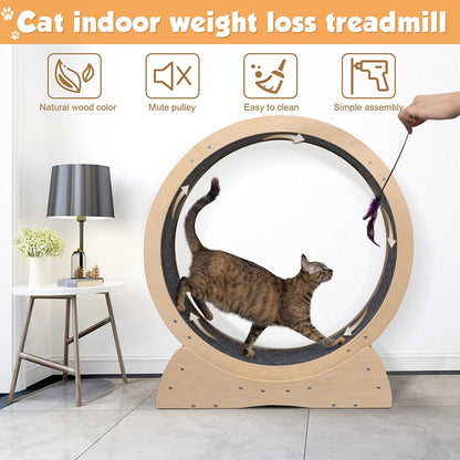 Cat Exercise Treadmill Roller