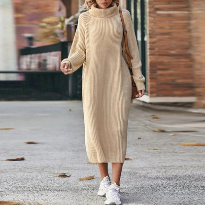 Turtleneck Raglan Sleeve Sweater Dress