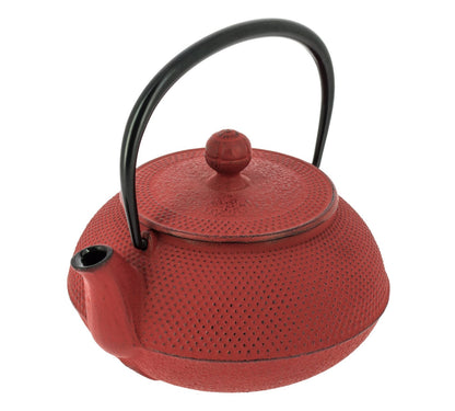Arare Cast Iron Teapot Kettle