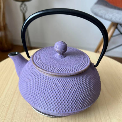 Arare Cast Iron Teapot Kettle