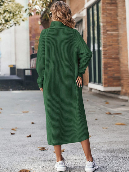 Turtleneck Raglan Sleeve Sweater Dress