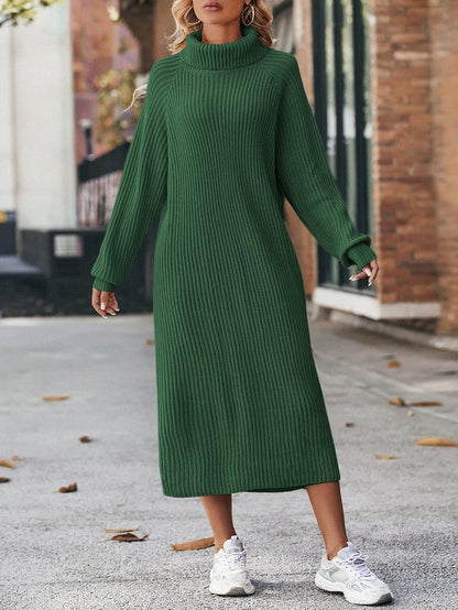 Turtleneck Raglan Sleeve Sweater Dress