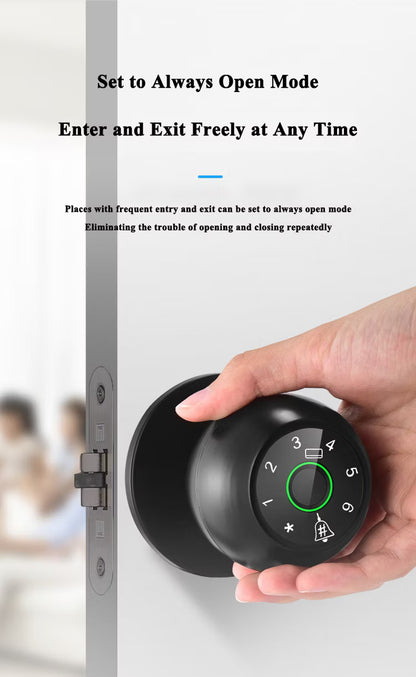 Q7 Smart Lock Keyless Entry System