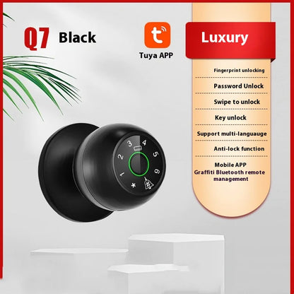 Q7 Smart Lock Keyless Entry System
