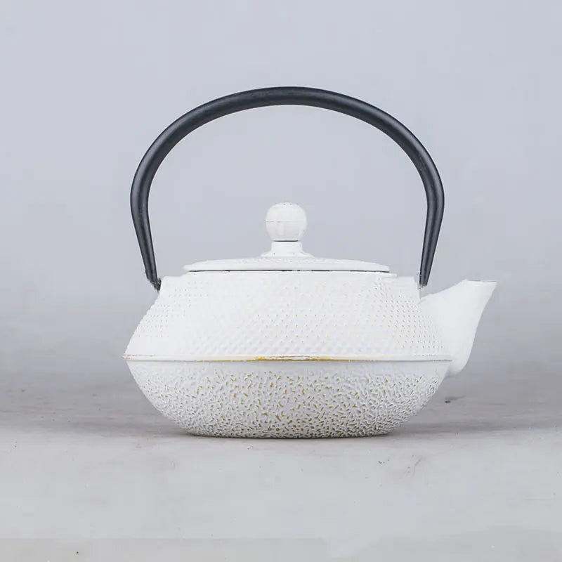 Arare Cast Iron Teapot Kettle