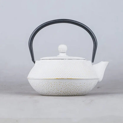 Arare Cast Iron Teapot Kettle