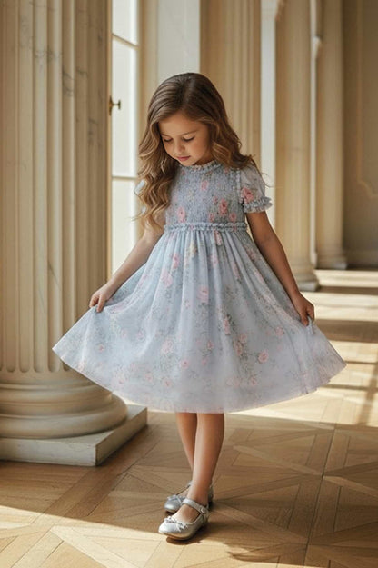 Pompadour Garden Giselle Chiffon Dress