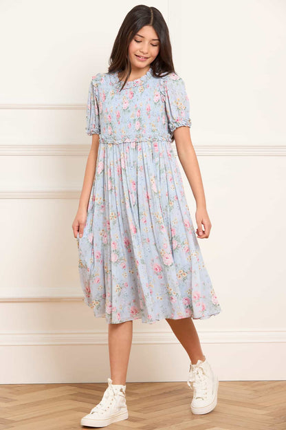 Pompadour Garden Giselle Chiffon Dress