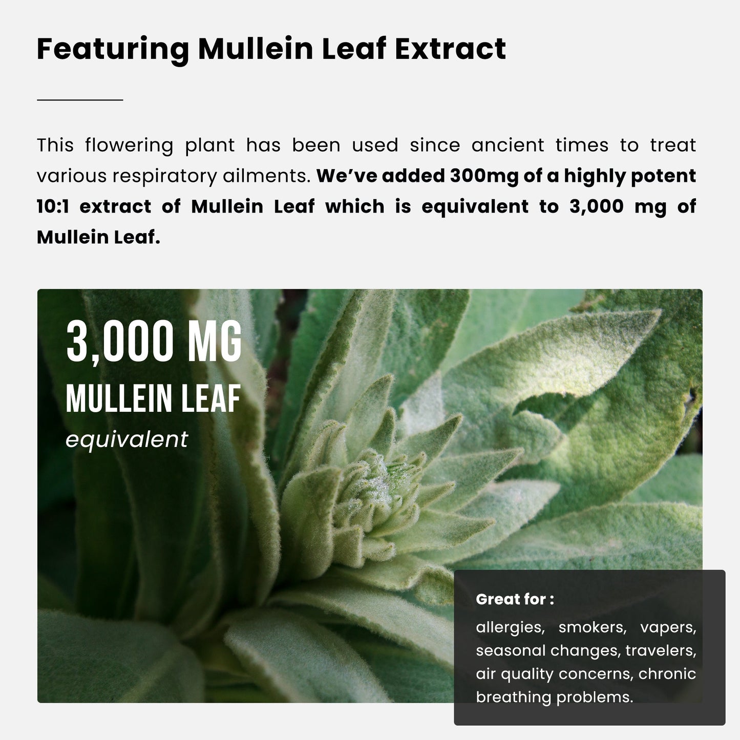 Lung Detox & Cleanse Mullein Leaf Capsules