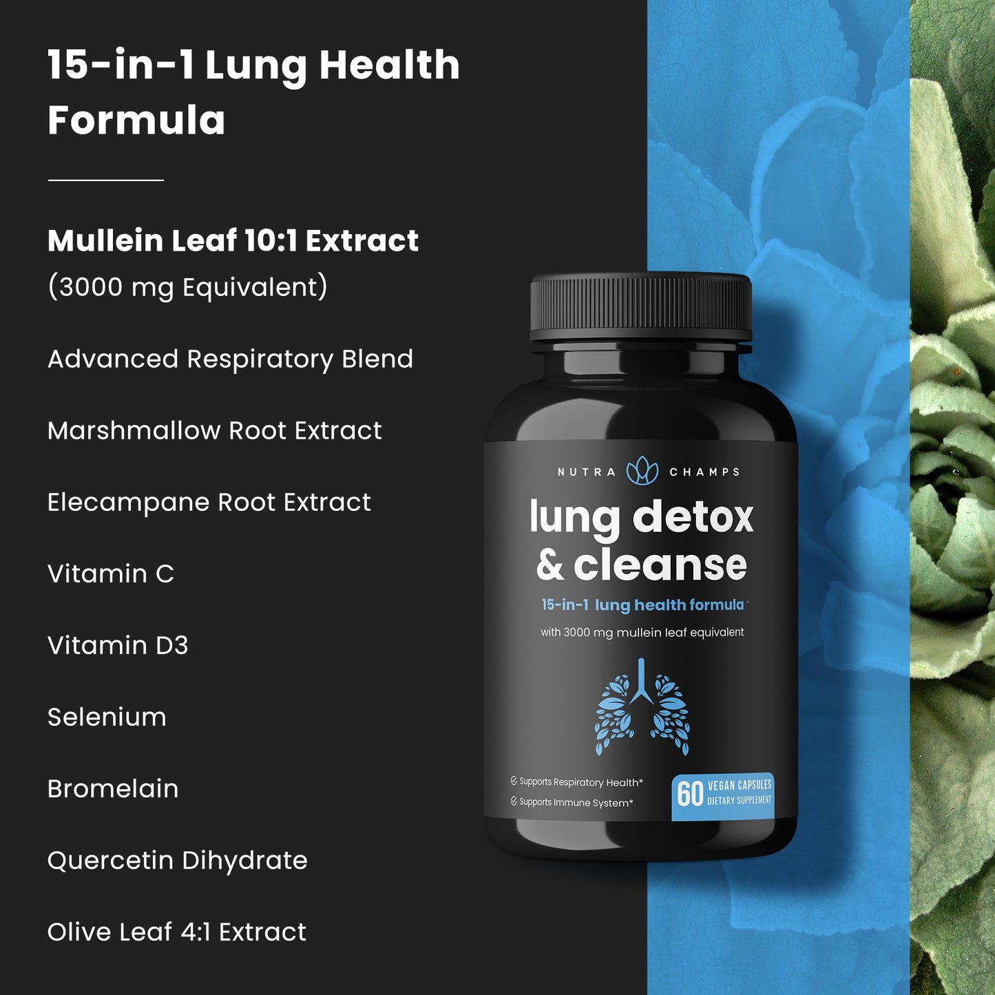 Lung Detox & Cleanse Mullein Leaf Capsules