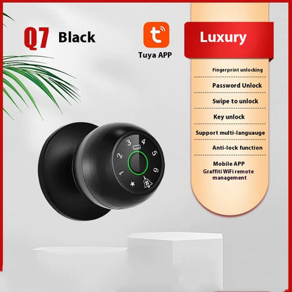 Q7 Smart Lock Keyless Entry System