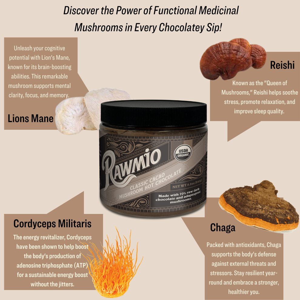 Rawmio Mushroom Hot Chocolate