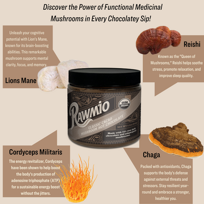 Rawmio Mushroom Hot Chocolate