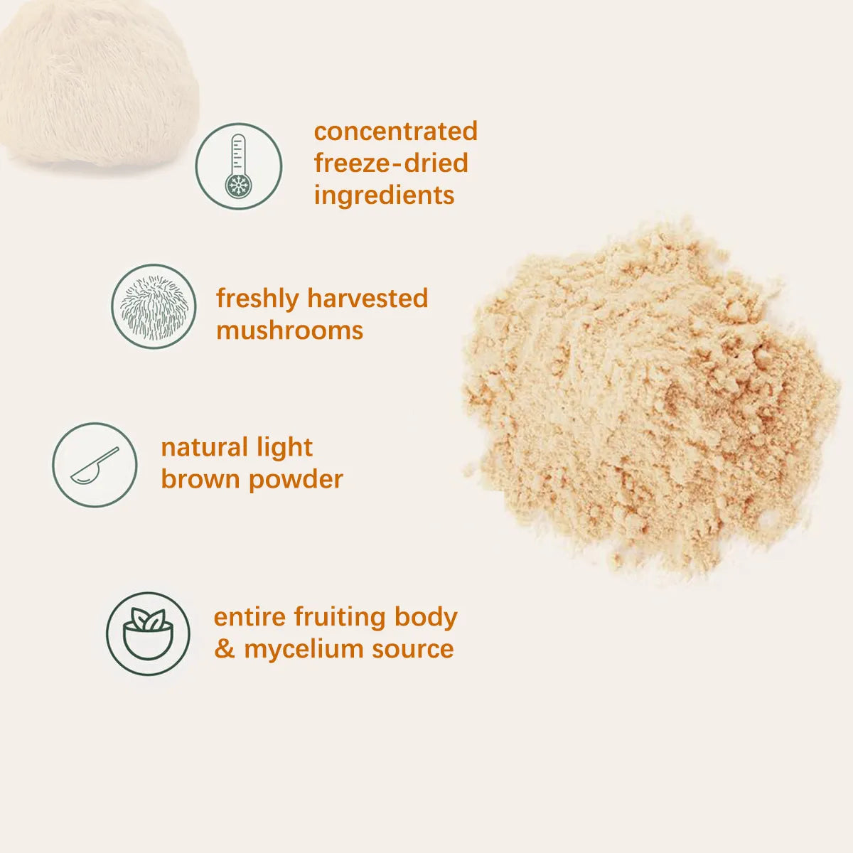 Organic Lion's Mane Mushroom Powder