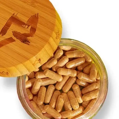 Primal Queen Capsules - Supports Hormone Balance