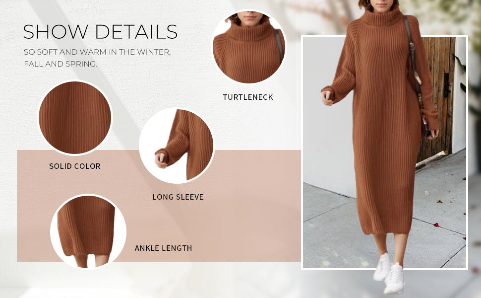 Turtleneck Raglan Sleeve Sweater Dress